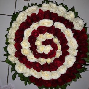 rose red and white spin